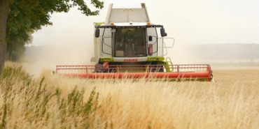 TÜİK-Tarımsal girdi fiyat endeksi yıllık %31,55 arttı