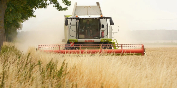 TÜİK-Tarımsal girdi fiyat endeksi yıllık %31,55 arttı