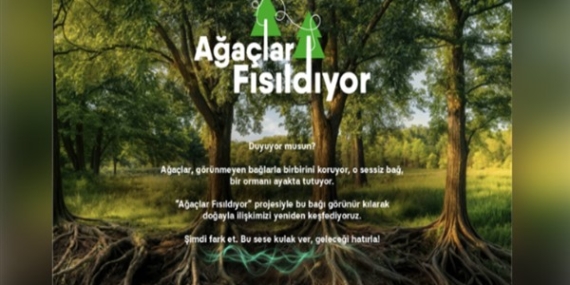 “Ağaçlar Fısıldıyor” projesi ile doğanın sessiz hikayesi  gün yüzüne çıkıyor