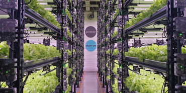 Farmicca’dan tarımda verimlilik ve teknoloji vurgusu