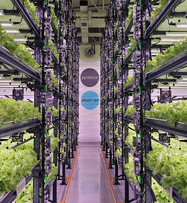 Farmicca’dan tarımda verimlilik ve teknoloji vurgusu