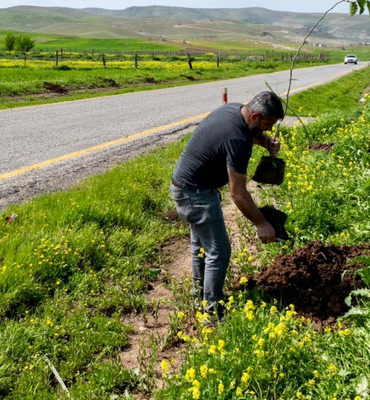 Batman’da 7 köy yoluna 3 bin 300 meyve fidanı dikildi