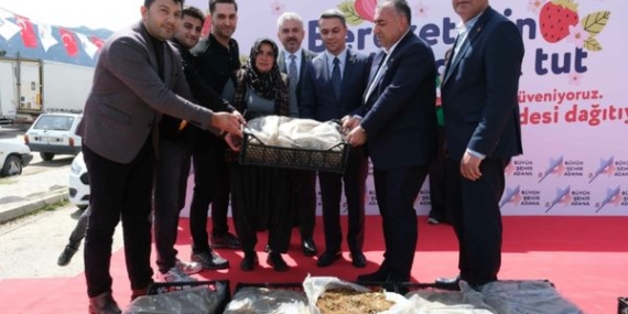 Adana’da üreticiye 900 bin çilek fidesi desteği