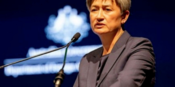 Wong: Japonya ile enerji güvenliği için iş birliği sürecek