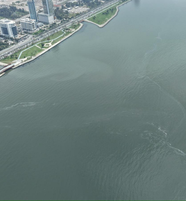 İzmir Körfezi’nde dış kaynaklı kirlilik tespit edildi