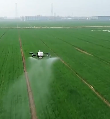 Çin’in tarım ve kırsal ekonomisi yılın ilk çeyreğine güçlü başladı