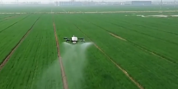 Çin’in tarım ve kırsal ekonomisi yılın ilk çeyreğine güçlü başladı