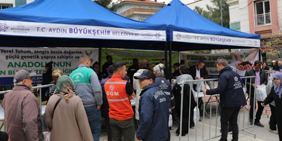 Aydın'da  Ata Tohumlu fide dağıtımı