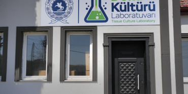 Samsun’da Bitki Doku Kültürü Laboratuvarı açılıyor