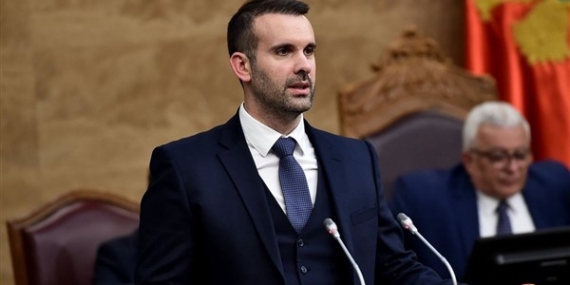 Spajic’ten Durdevica Tara Köprüsü açıklaması