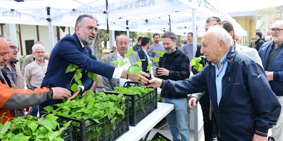 Kestel’de 6 bin ahududu fidanı üreticilere dağıtıldı