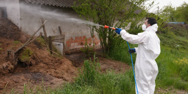 Düzce’de larva ve uçkun ile mücadele çalışmaları sürüyor