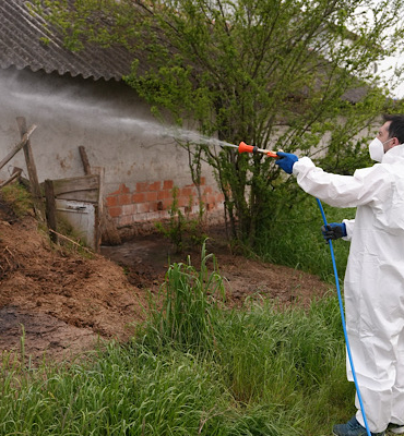 Düzce’de larva ve uçkun ile mücadele çalışmaları sürüyor