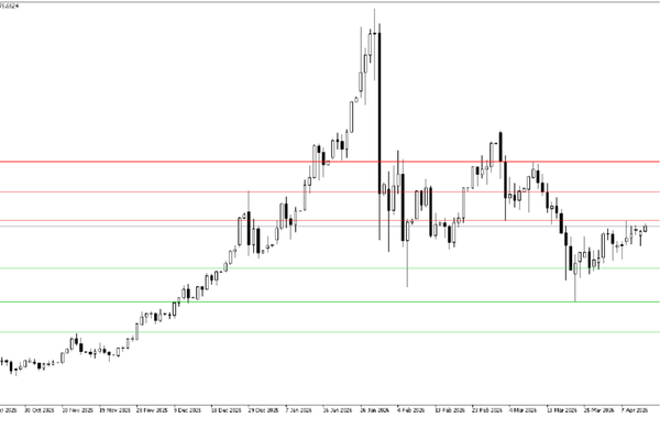SELEC Temettü ödemesinin endekse etkisi açıklandı