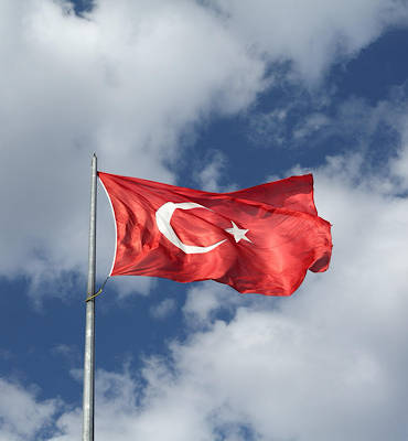 Siyasilerden Milli güreşçi Rıza Kayaalp için tebrik mesajı