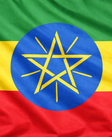 Etiyopya Başbakanı Ali, AB Komiseri Sikela ile görüştü