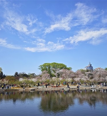 Çin'deki hava kalitesi yılın ilk çeyreğinde iyileşmeye devam etti