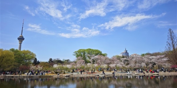 Çin'deki hava kalitesi yılın ilk çeyreğinde iyileşmeye devam etti