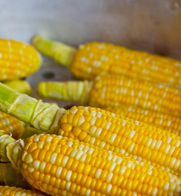 Ticaret Bakanlığı’ndan mısır ithalatına yeni düzenleme