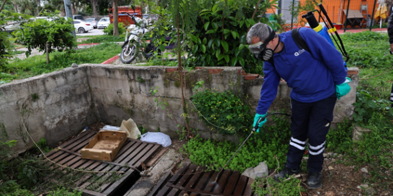 Antalya’da haşereyle mücadele çalışması başlatıldı