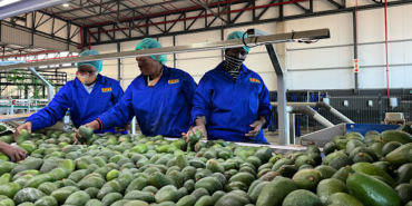 Çin’in Afrika ülkelerine yönelik sıfır gümrük vergisi kapsamı genişliyor