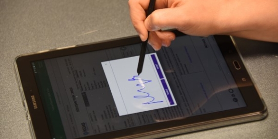 Enerya Enerji, pay geri alımı yaptı