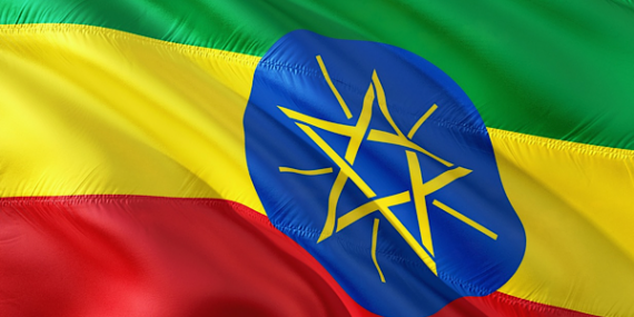 Ali: Ethiopia hızla inşa ediliyor, toplumsal kalkınma temel taşıdır