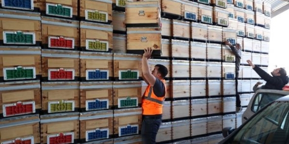 Büyükşehirden arıcılığa kovan desteği