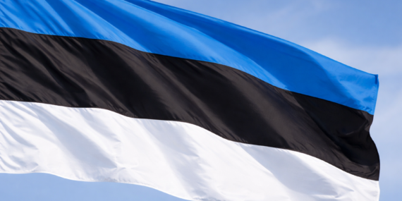 Estonya Dışişleri Bakanlığı, Gaziler Günü kapsamında anma mesajı yayımladı