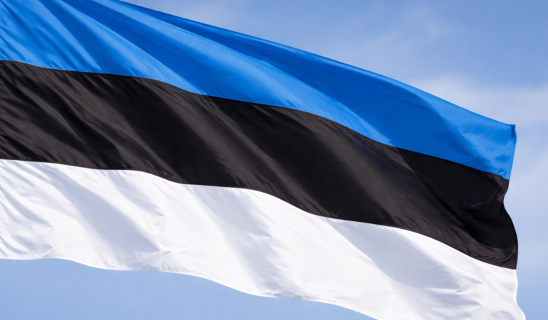 Estonya Dışişleri Bakanlığı, Gaziler Günü kapsamında anma mesajı yayımladı