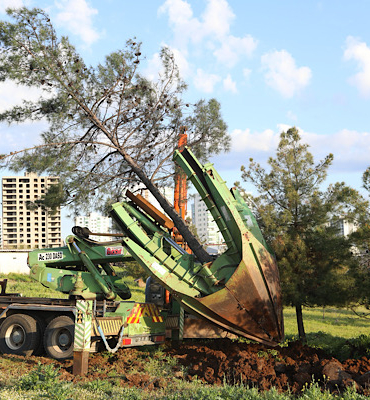Kayapınar Fırat Bulvarı’nda yenileme çalışmaları başlatıldı