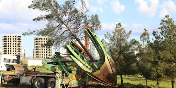 Kayapınar Fırat Bulvarı’nda yenileme çalışmaları başlatıldı