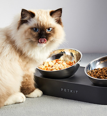 EVOFONE'dan evcil hayvan sahiplerine büyük fırsat!