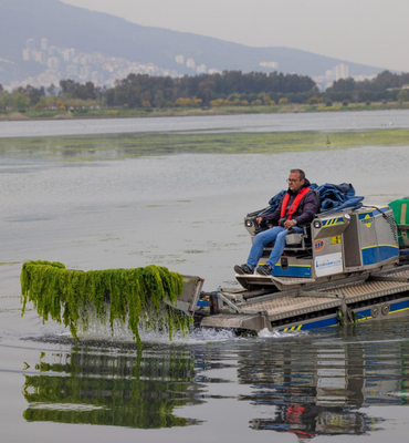 Çakalburnu Lagünü’nde oluşan yosunlara yönelik temizlik çalışmaları sürüyor