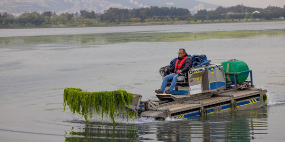 Çakalburnu Lagünü’nde oluşan yosunlara yönelik temizlik çalışmaları sürüyor