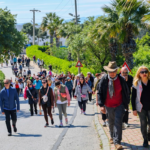 Bodrum’da Kadıkalesi rotasında kültür ve doğa yürüyüşü düzenlendi