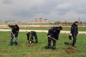 Eskişehir’de evlenen çiftler adına fidan dikiliyor