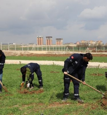Eskişehir’de evlenen çiftler adına fidan dikiliyor