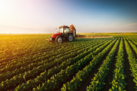 Tarımsal ürün endeksleri açıklandı