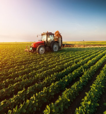 Tarımsal ürün endeksleri açıklandı