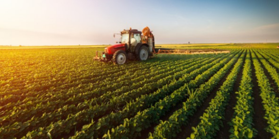 Tarımsal ürün endeksleri açıklandı