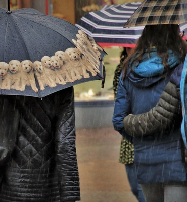 Ankara Valiliği’nden kuvvetli yağış uyarısı