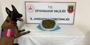 Diyarbakır’da uyuşturucu ile mücadele operasyonları gerçekleştirildi