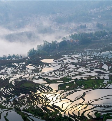 Hani tarımsal teraslar alanı, en güzel bahar ekim mevsimine girdi