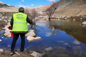 Yenimahalle’de larva ilaçlama çalışmaları devam ediyor