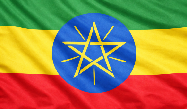 Ali, Mozambik Cumhurbaşkanı Chapo’yu Etiyopya’da ağırladı