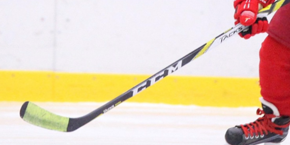 A Milli Buz Hokeyi Takımı namağlup şampiyon oldu