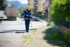 Giresun’da kahverengi kokarcaya karşı ilaçlama başladı