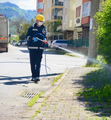 Giresun’da kahverengi kokarcaya karşı ilaçlama başladı