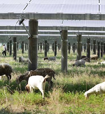 Alman ve İngiliz medyası: Çin, enerji krizinin en büyük kazananı oldu